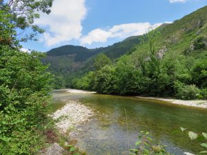 Rio Sella y su vegetacion de ribera